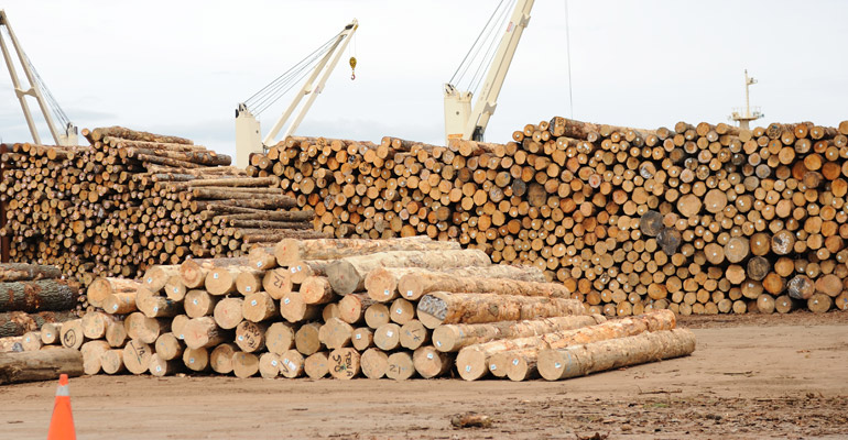 logs waiting to be loaded at NZ port